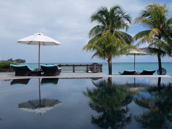 Maurice Royal Palm (6) Maurice Royal Palm (6)