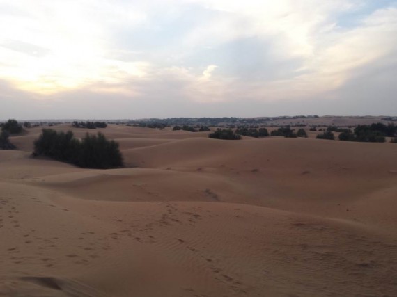 Al Maha camel ride (5) Al Maha camel ride (5)