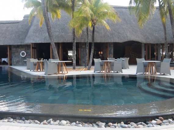 Maurice Royal Palm (30) Maurice Royal Palm (30)