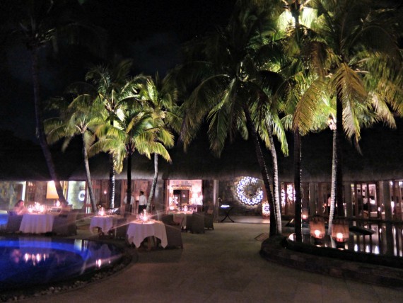 Maurice Royal Palm (42) Maurice Royal Palm (42)