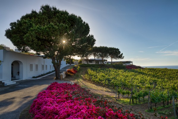 Hébergements dans les vignes en Italie