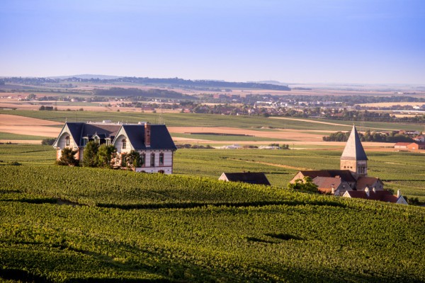 Hébergements dans les vignes en France