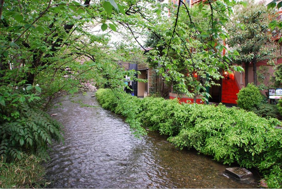 Canal et arbres de Kyoto (2)
