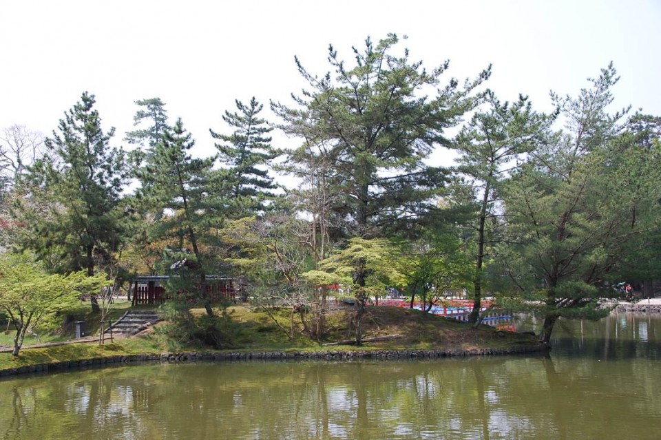 Le parc de Nara (2)