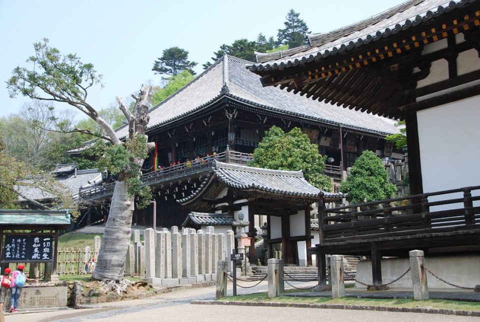 Les temples de Nara (10)