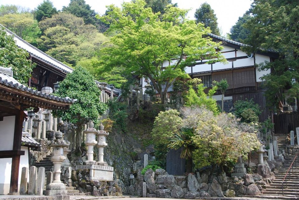Les temples de Nara (11)