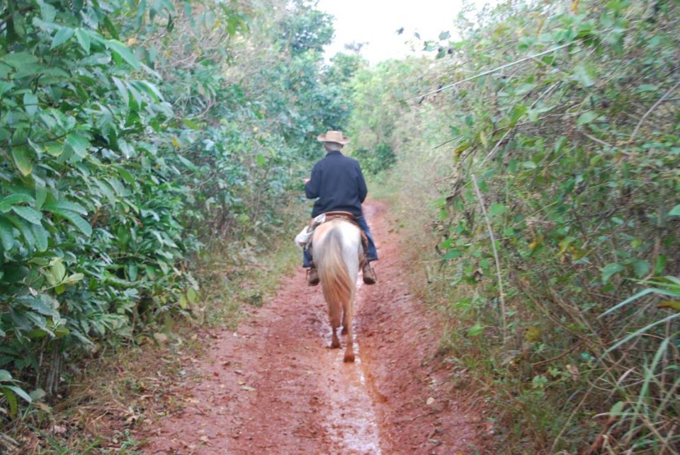 Balade dans le Parc National de Viñales à cheval Balade dans le Parc National de Viñales à cheval