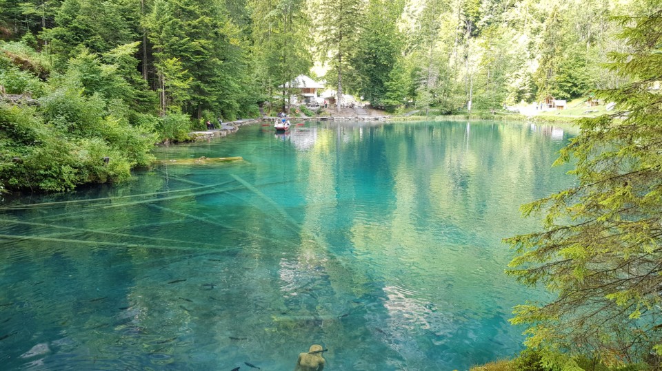 Le lac turquoise et féérique Blausee vers Frutigen: balade facile