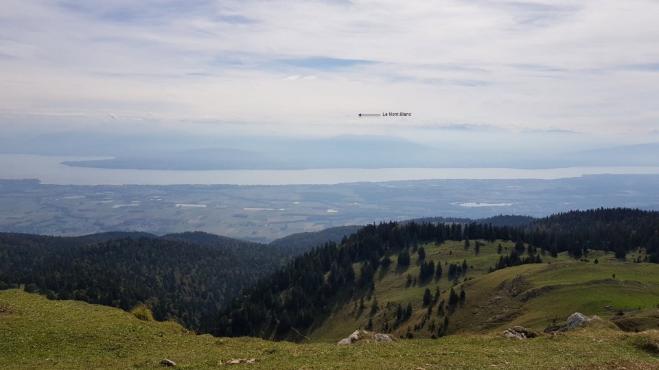 Point de vue panoramique: La Dôle dans le Canton de Vaud