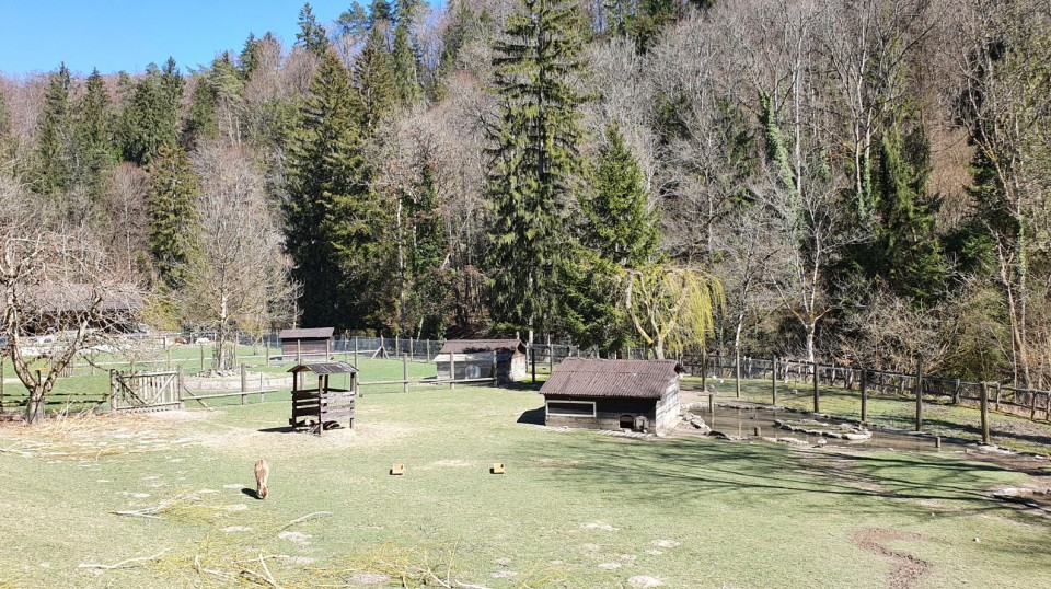 Parc Animalier Clos Bercher dans le Canton de Vaud: balade kids friendly