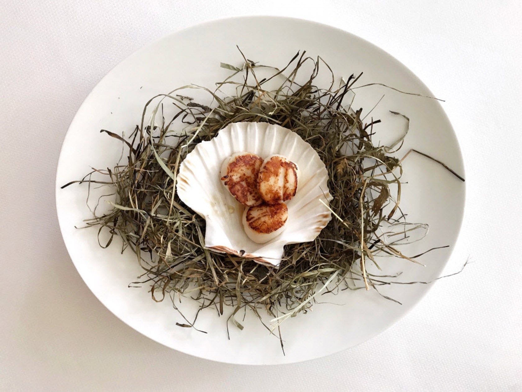 Le Botaniste Le Botaniste