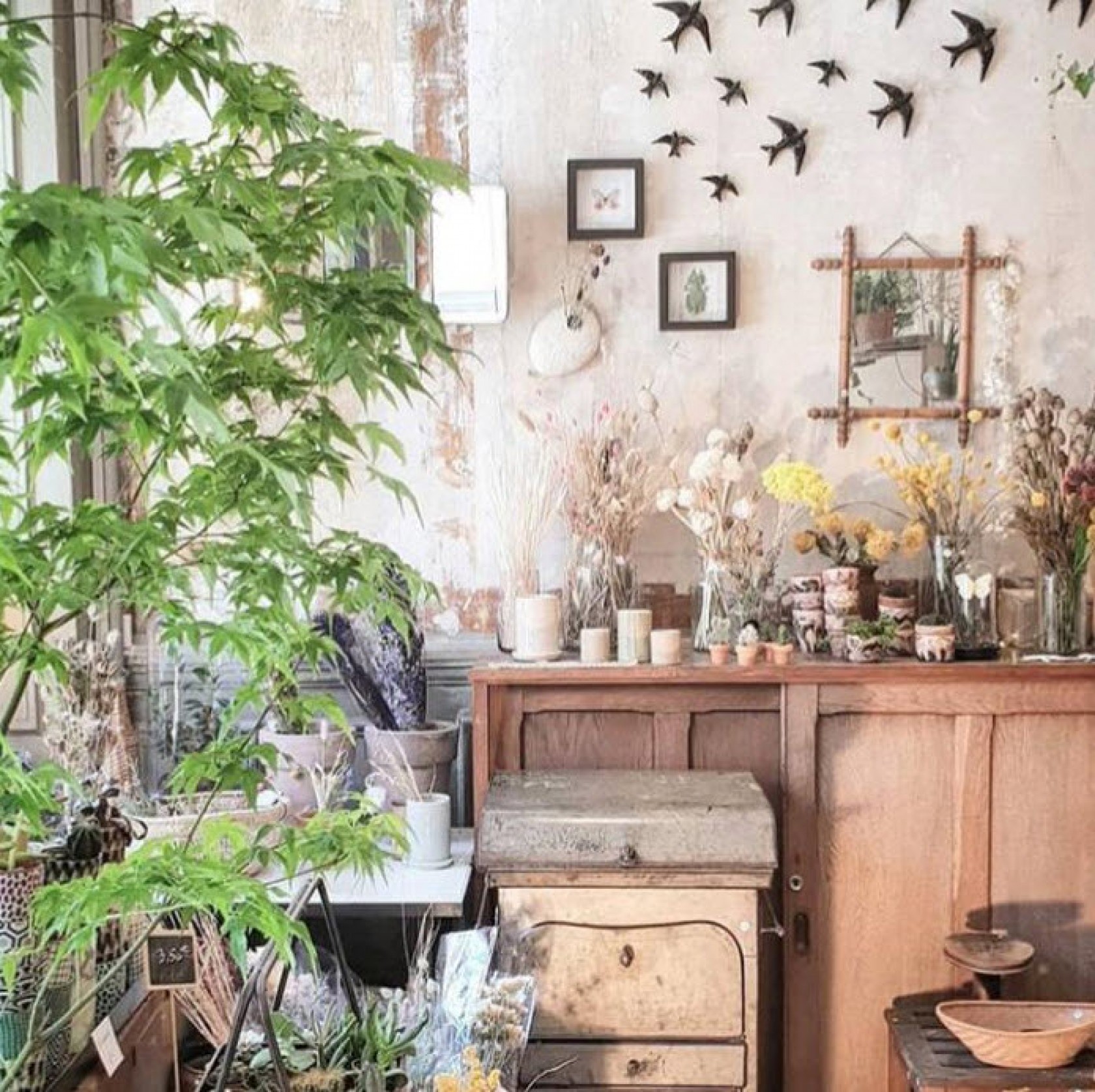 Les Fleurs Rue Trousseau Les Fleurs Rue Trousseau