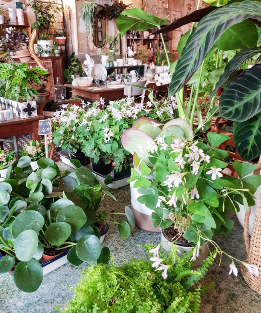 Les Fleurs Rue Trousseau Les Fleurs Rue Trousseau