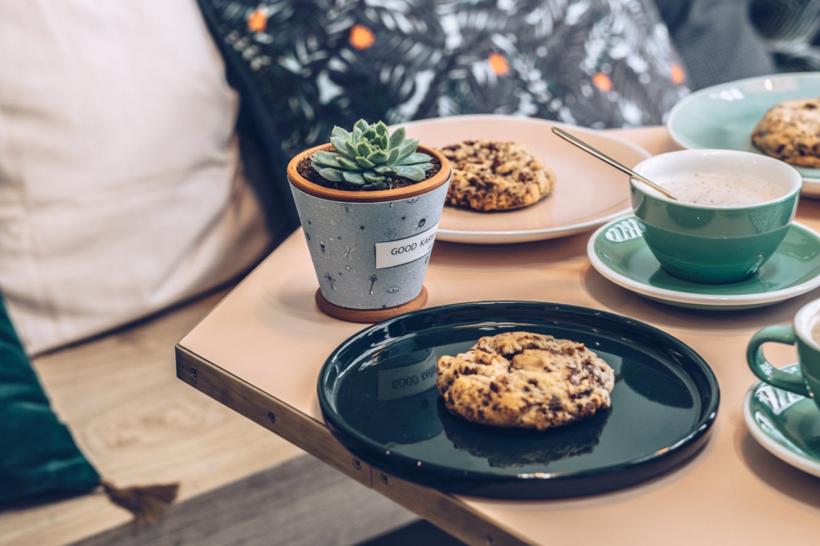 Succulentes Café Succulentes Café