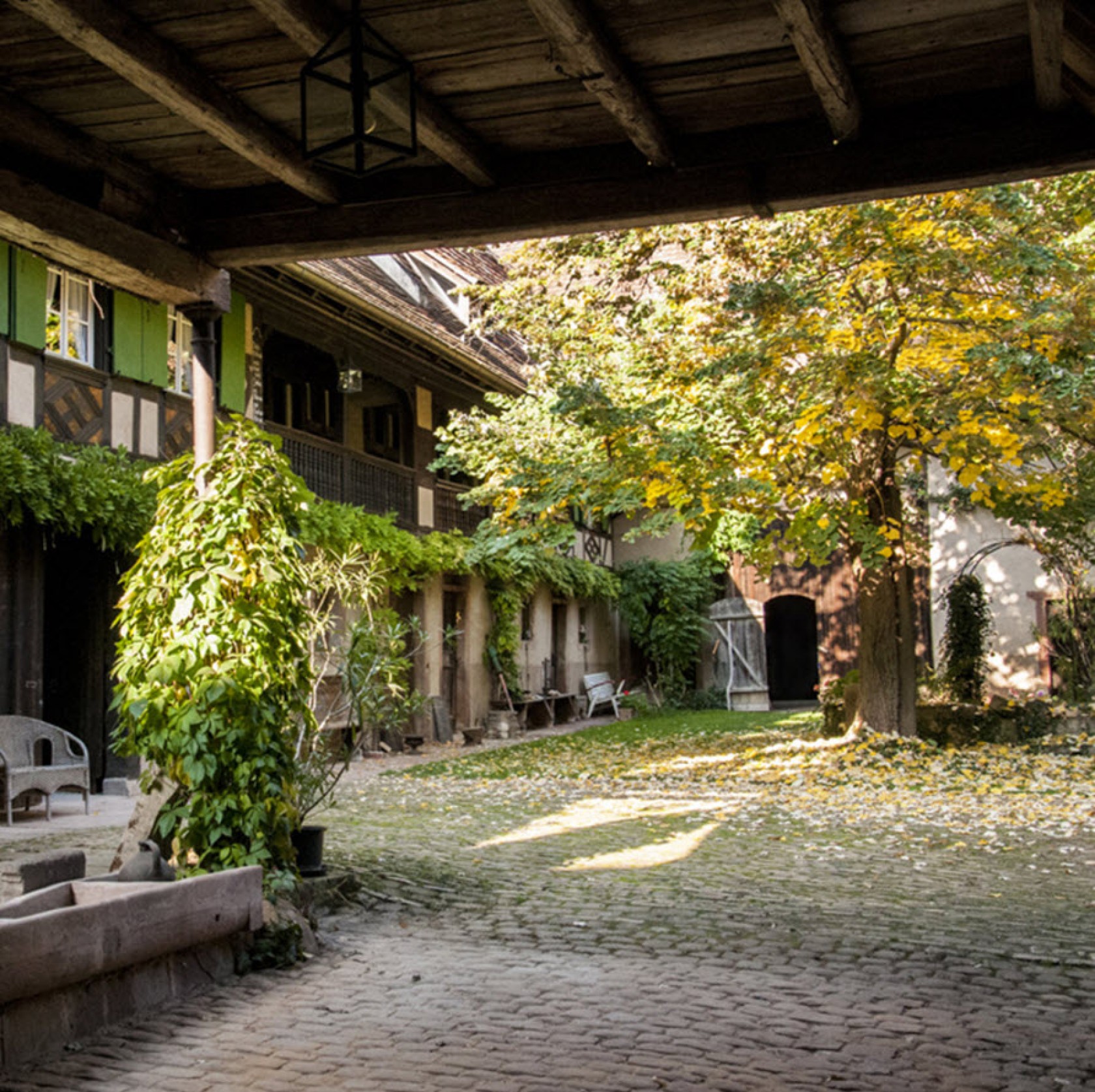 Unter Der Linde Unter Der Linde