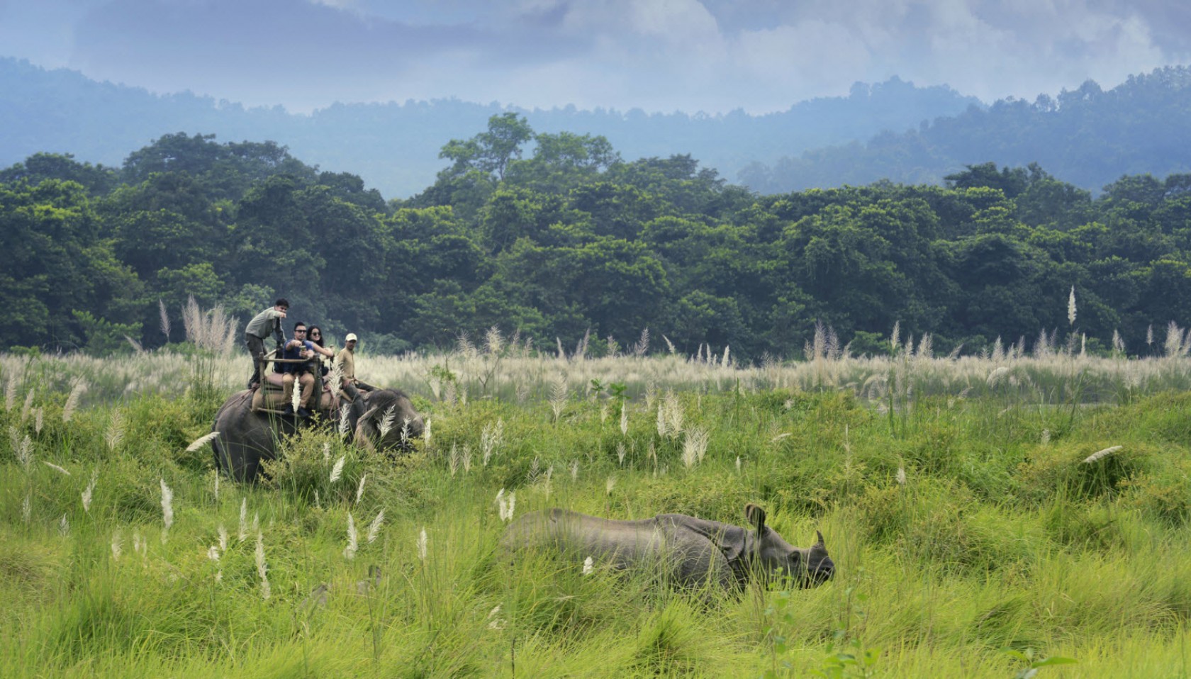 Barahi Jungle Lodge Barahi Jungle Lodge