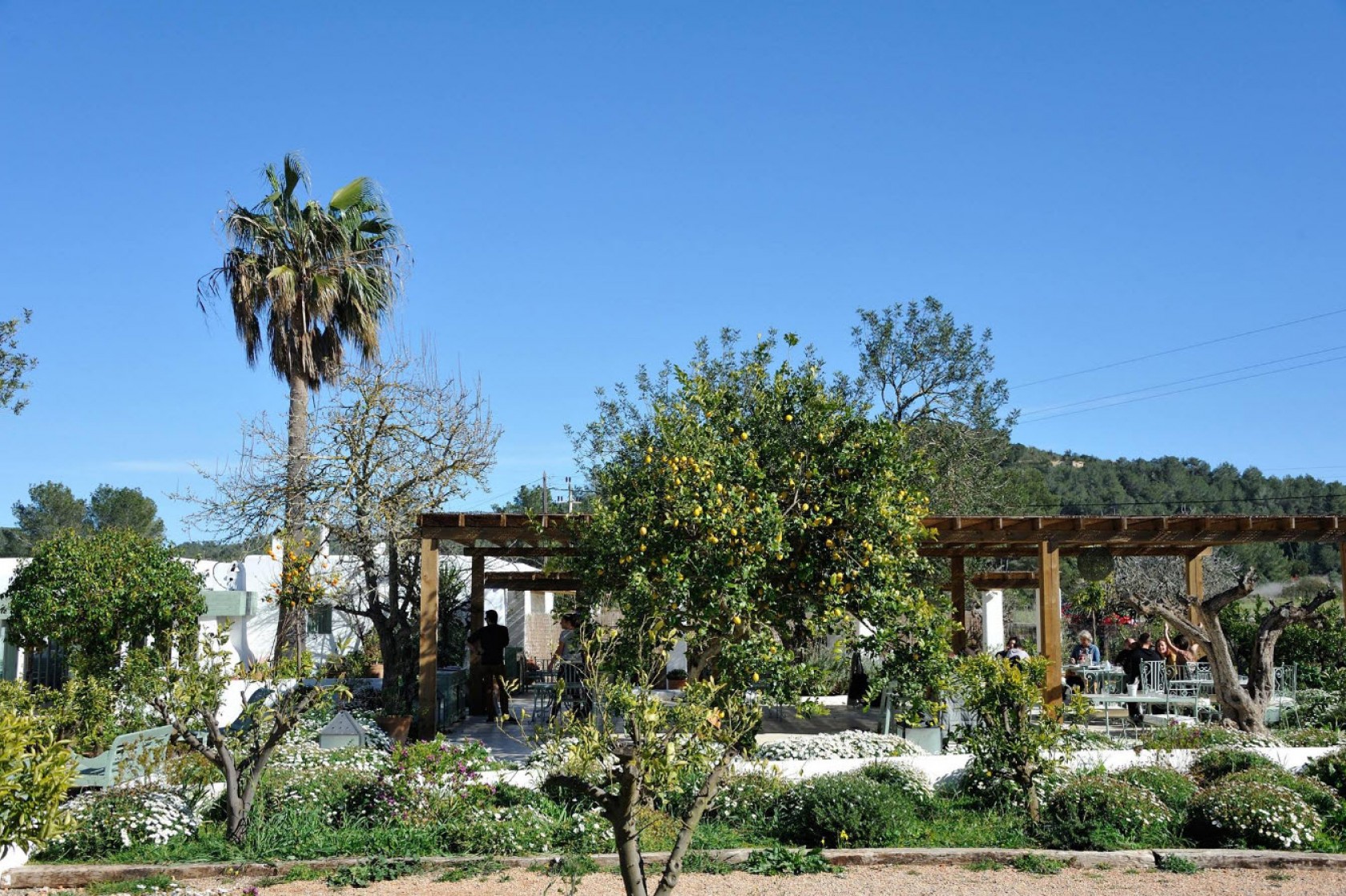 Aubergine Ibiza Aubergine Ibiza