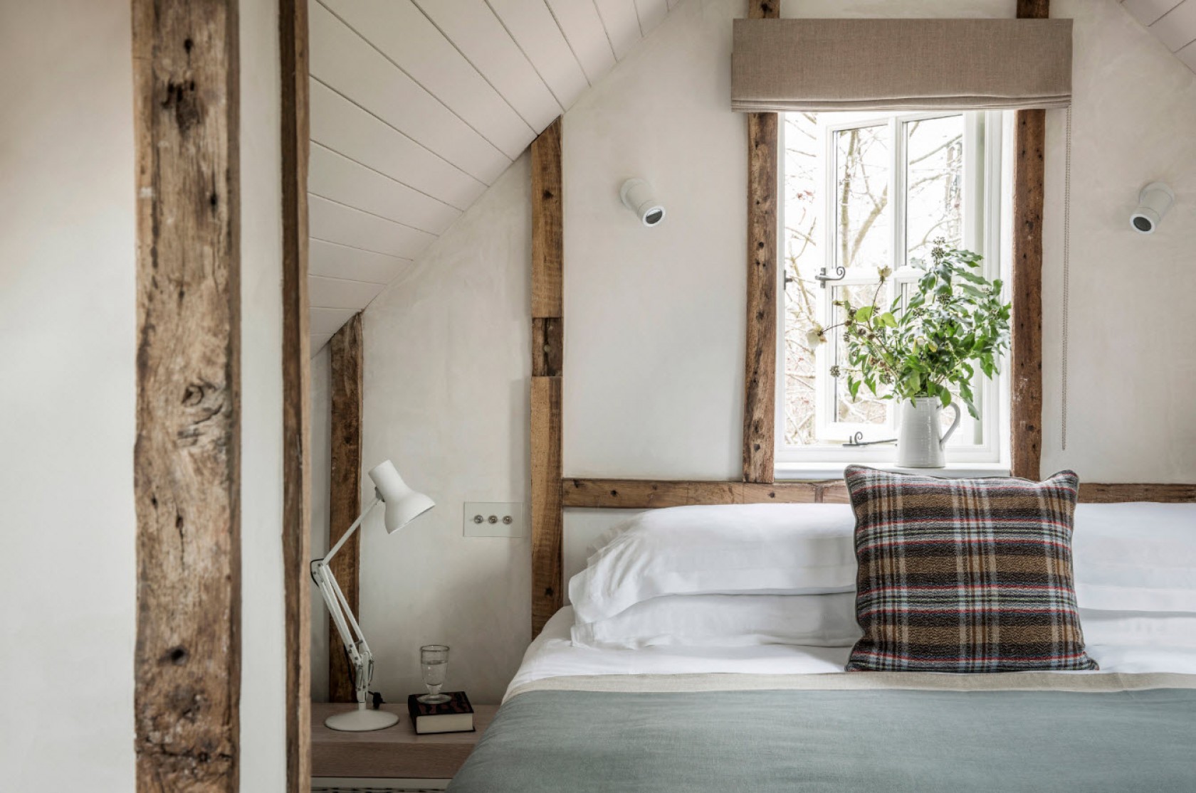 The Wild Rabbit The Wild Rabbit