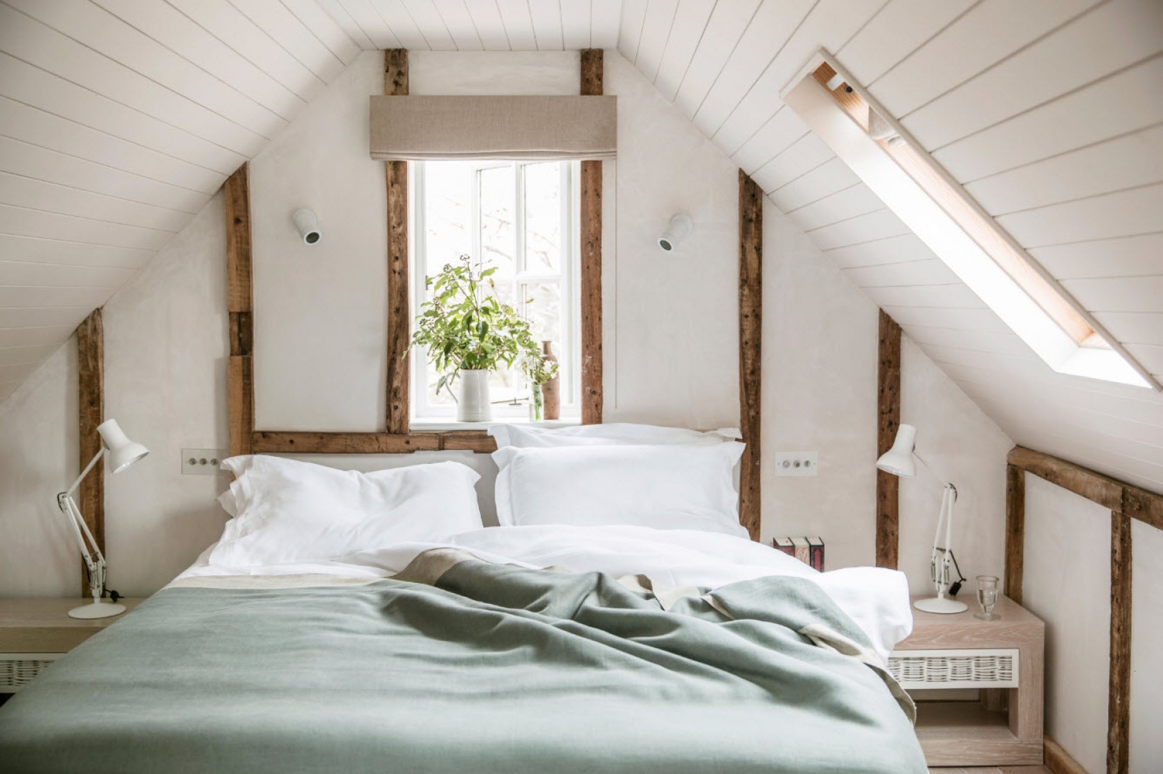 The Wild Rabbit The Wild Rabbit