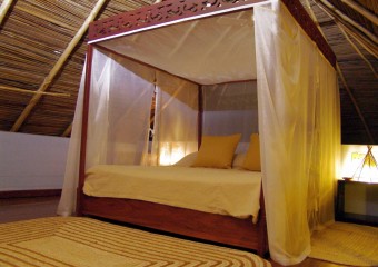 Punta Caracol Acqua Lodge Punta Caracol Acqua Lodge