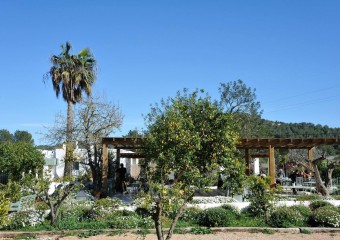 Aubergine Ibiza